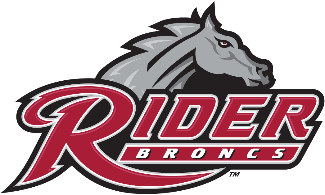 Rider Broncs iron ons